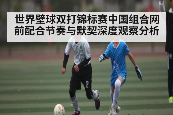 世界壁球双打锦标赛中国组合网前配合节奏与默契深度观察分析